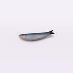 Ceramic Sardine Fridge Magnet